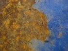Surfaces